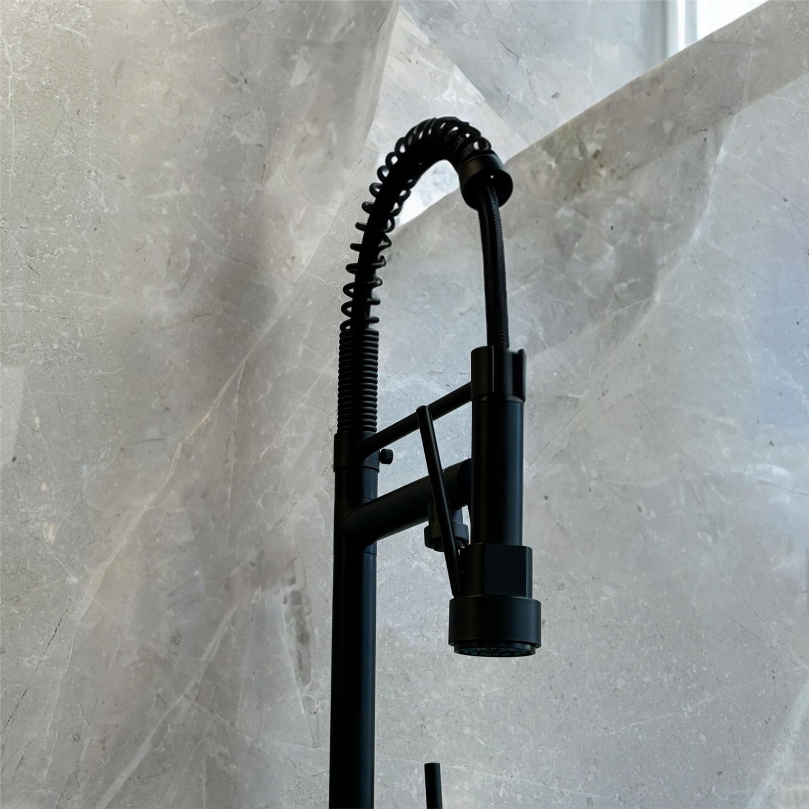 Liquida Black Kitchen Tap With Swivel Spout & Directional Spray - GR264MB